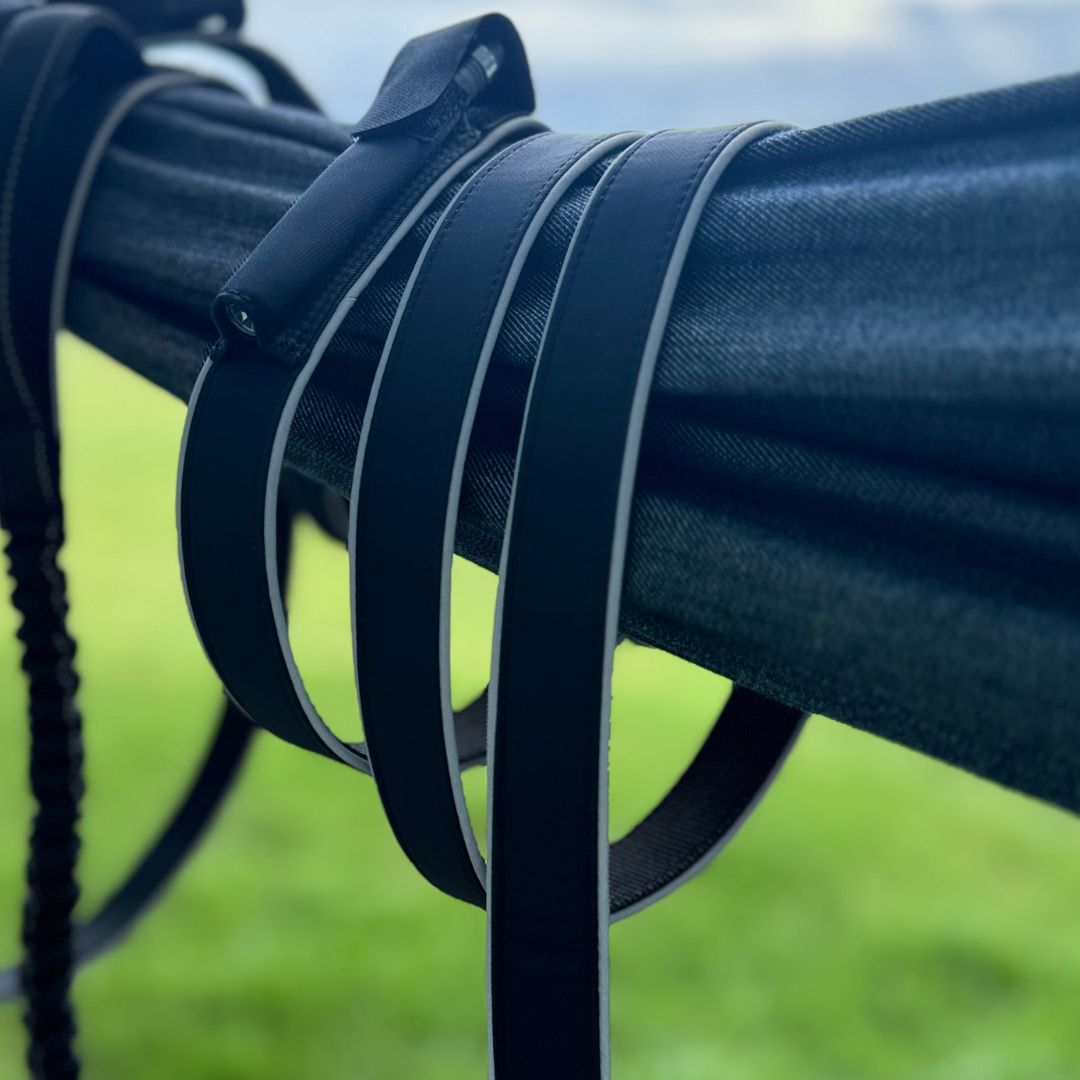 LUMI DOG LEASH